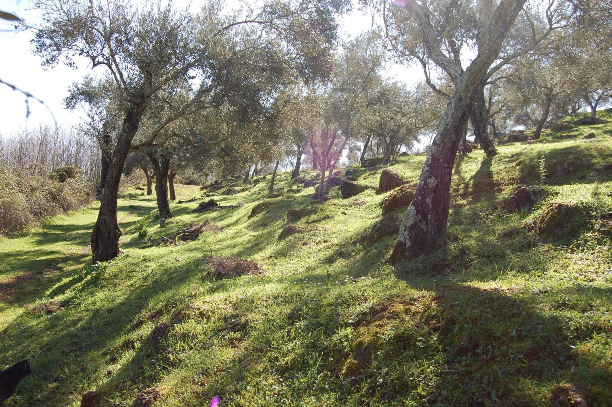 Los Pozos De La Nieve กอนสแตนตินา ภายนอก รูปภาพ